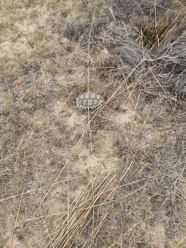 1 Bedroom Property for Sale in Riversdale Western Cape